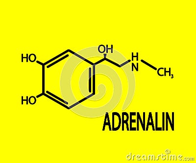 Chemical formula of adrenaline. Symbol. Vector Vector Illustration